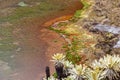 Green lagoons at the foot of the Chiles volcano