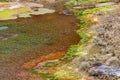 Green lagoons at the foot of the Chiles volcano