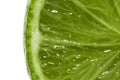 Green laim (lemon) Royalty Free Stock Photo