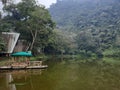 Green lake boat tree