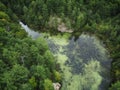 Green Lake Marsh Lilies Tory Hill Ontario Canada Swamp Aerial