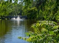 Green lake in Mezhyhirya park at Novi Petrivtsi near Kyiv Ukraine Royalty Free Stock Photo