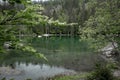 The green lake in Savoye in France Royalty Free Stock Photo