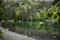 The green lake in Savoye in France Royalty Free Stock Photo