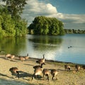 Green Lake, Seattle Royalty Free Stock Photo