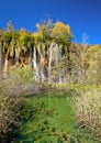 Green lake under Plitvice waterfall