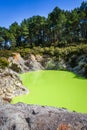 Green lake in Waiotapu, Rotorua, New Zealand Royalty Free Stock Photo