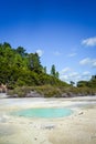 Green lake in Waiotapu, Rotorua, New Zealand Royalty Free Stock Photo