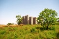 The green lakeside grassland