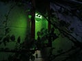 Green lamp tree at night