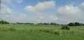 A green land field rural area in india