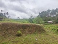 The Green Land Meets The Cloudy Sky