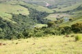 Green lands of Africa Royalty Free Stock Photo