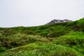 Green landscape around Asahidake mountain in Hokkaido, Japan, during summer season.