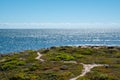 Green landscape and blue ocean at Dynamite Bay in Green Head, Western Australia