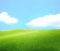 Green Landscape with Blue Sky