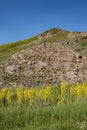 Green landscape, breathtaking, Dogubayazit, Turkey, Middle East, mountain, Iranian border, driving, winding road Royalty Free Stock Photo