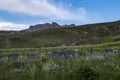 Green landscape, breathtaking, Dogubayazit, Turkey, Middle East, mountain, Iranian border, driving, winding road Royalty Free Stock Photo