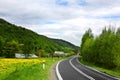 Green landscape - country road Royalty Free Stock Photo
