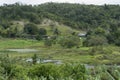 Green landscape of the countryside along the BR 324 highway