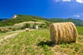 Green landscape, field and church Royalty Free Stock Photo