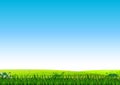 Green Landscape Grass Field View Cartoon