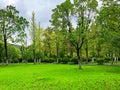 A fairytale green park with its beautiful green trees