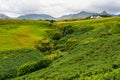 Green landscape with high mountains and cottages on the Isle of Skye, Scotland, UK. Royalty Free Stock Photo