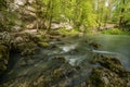 Green landscape and karst spring in national park Rakov Skocjan in Slovenia during spring time