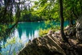 Green landscape of Lac Vert lake in Chamonix in Haute Savoie in France Royalty Free Stock Photo