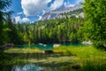 Green landscape of  Lac Vert lake in Chamonix in Haute Savoie in France Royalty Free Stock Photo