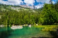 Green landscape of  Lac Vert lake in Chamonix in Haute Savoie in France Royalty Free Stock Photo