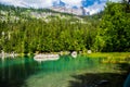 Green landscape of Lac Vert lake in Chamonix in Haute Savoie in France Royalty Free Stock Photo