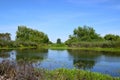 Green landscape, lake near Kern River Parkway, Bakersfield, CA. Royalty Free Stock Photo
