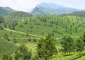 Green Landscape in Munnar, Idukki, Kerala, India - Natural Background with Mountains and Tea Gardens