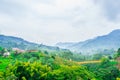 View on green landscape next to the village of Jardin, Colombia