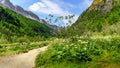 Green landscape with path between flowers and mountains in the Ordesa Pyrenees valley. Spain Royalty Free Stock Photo