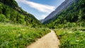 Green landscape with path between flowers and mountains in the Ordesa Pyrenees valley. Huesca Royalty Free Stock Photo