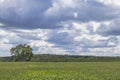 Green landscape with road and amazing clouds in the sky. Country view. Royalty Free Stock Photo