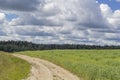 Green landscape with road and amazing clouds in the sky. Country view. Royalty Free Stock Photo