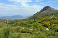 Green landscape on samos island, greece Royalty Free Stock Photo