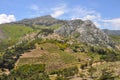 Green landscape on samos island, greece Royalty Free Stock Photo