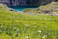 Green landscape scenery with river in a valley of the Sonamarg Hill in Jammu and Kashmir, India Royalty Free Stock Photo