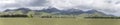 Green landscape with snow on Takitimu mountains, near The Key, New Zealand Royalty Free Stock Photo