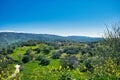 Green landscape with spring flowers and blossoming almond trees in Paphos district, Cyprus Royalty Free Stock Photo