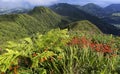 Green landscape on top of Miradouro do Salto do Cavalo in Sao Miguel, Azores Islands, Portugal.