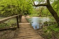 Green landscape and wooden bridge in national park Rakov Skocjan in Slovenia during spring time