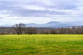 Green landscape with yellow wildflowers and mountains background with cloudy sky. Madrid Royalty Free Stock Photo