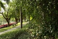 Green Landscaped Formal Garden. Park