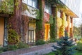 green landscaping near the facade of a business building